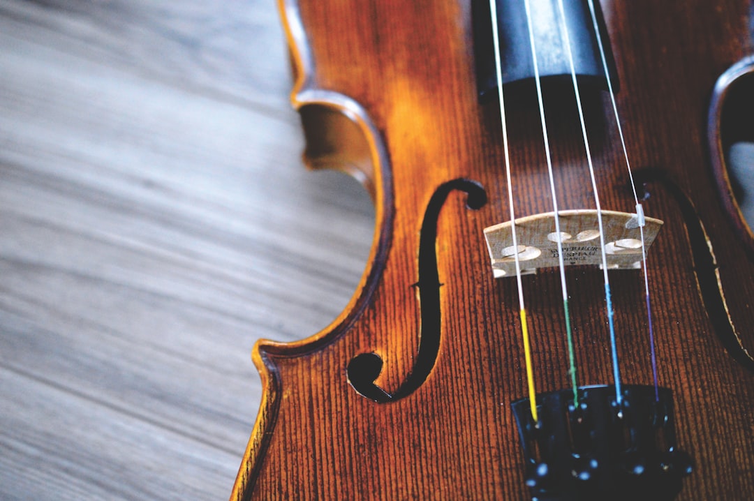 Violin strings in close-up by Endless Relaxation brown and black violin