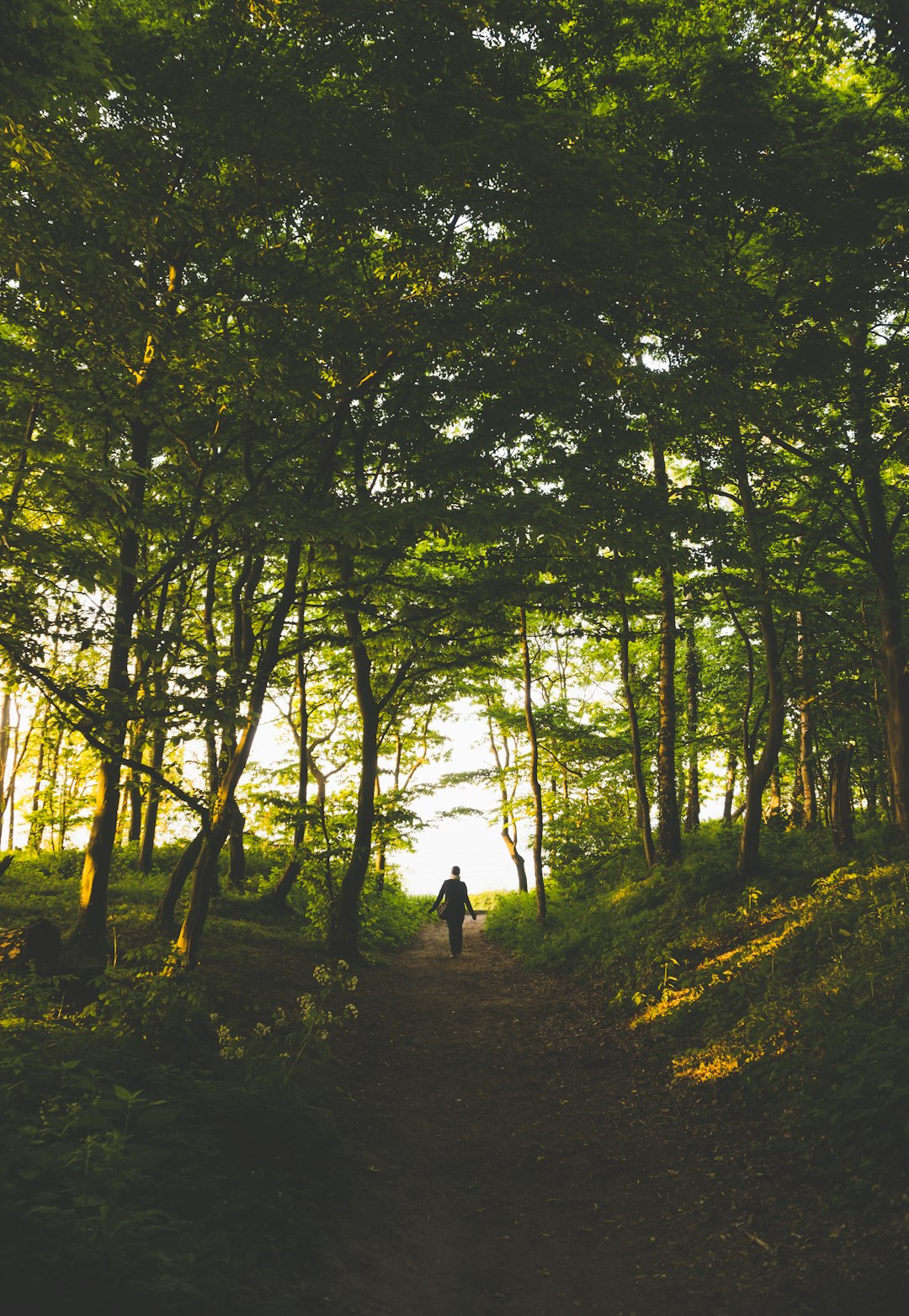 Person in the forest by Endless Relaxation person standing in woods