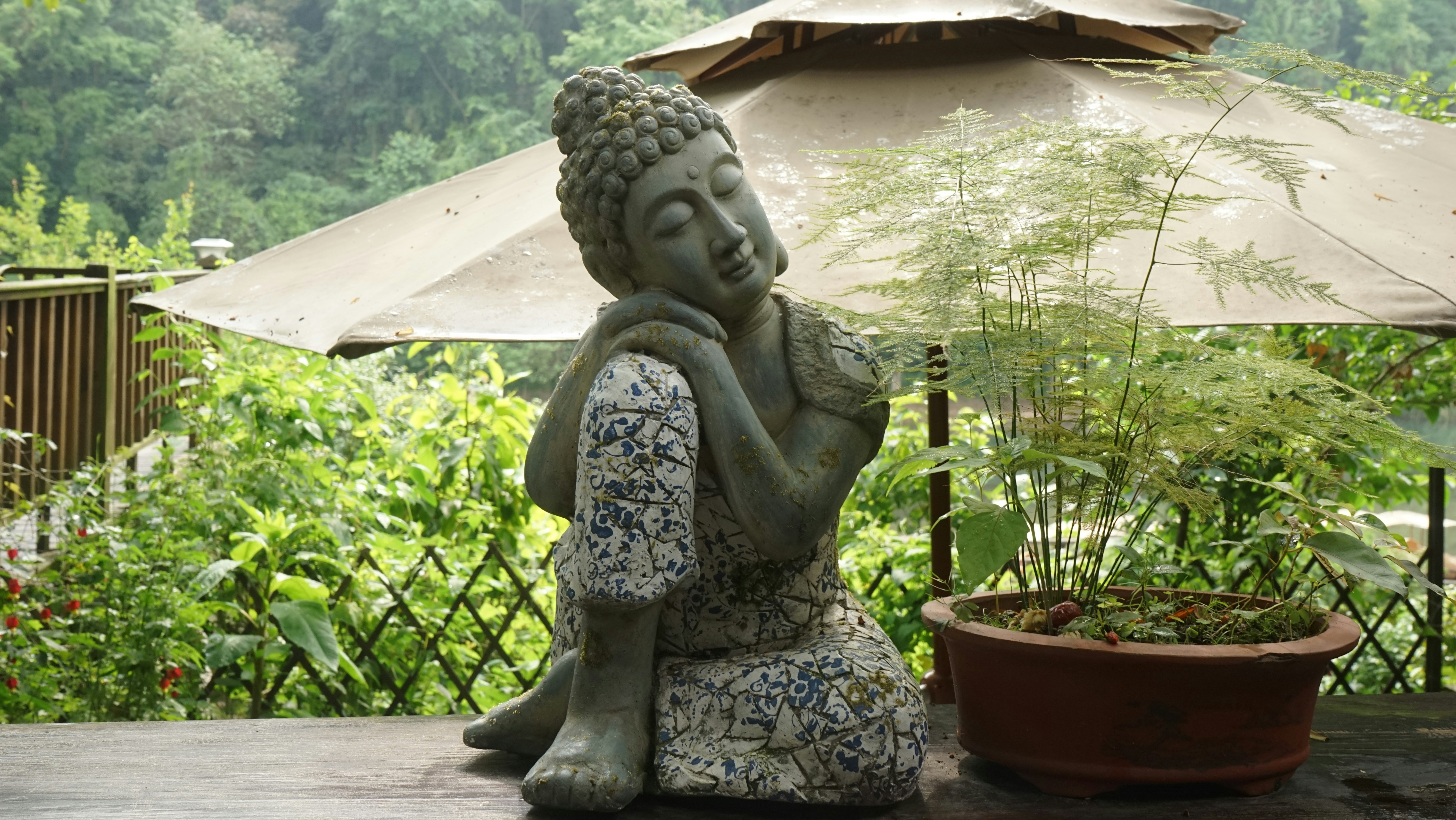 a buddha statue sitting next to a potted plant