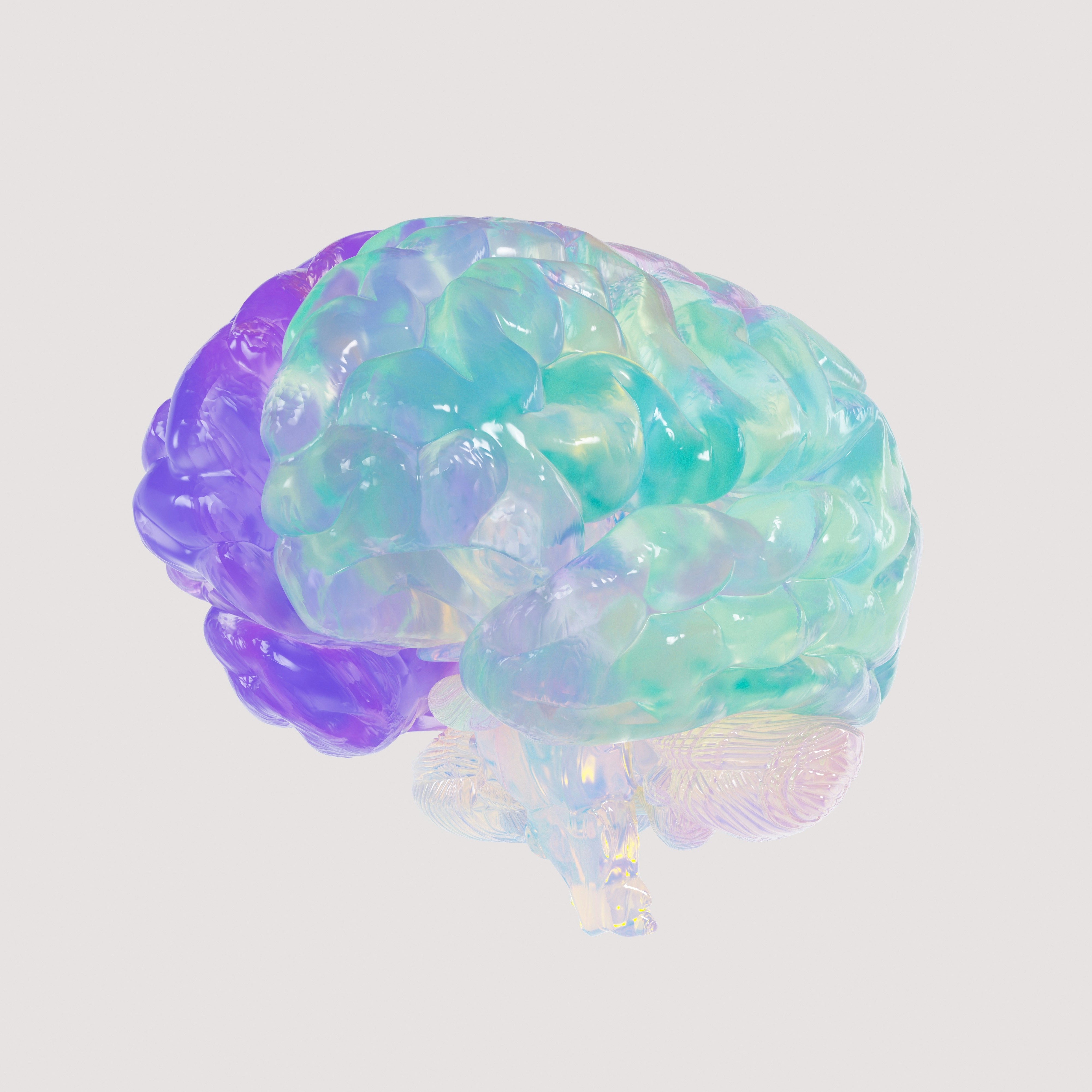 ❓ FAQ: Your Burning Questions About Relaxation Music, Answered! by Endless Relaxation a close up of a plastic model of a human brain
