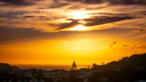 Featured image for What Is the Worlds Most Calming Song Top 15 Revealed 2025