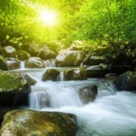 Featured image for 9 Soothing Nature Sounds for Relaxation You Havent Tried Yet 2025