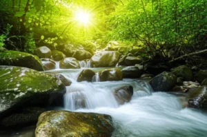 Featured image for 9 Soothing Nature Sounds for Relaxation You Havent Tried Yet 2025