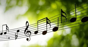 Featured image for 15 Best Peaceful Music Tracks Secrets for Deep Relaxation 2026