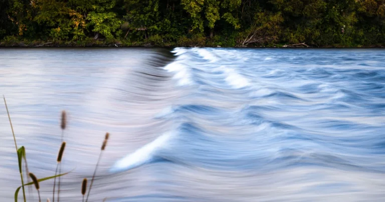 Featured image for 10 Relaxing Sounds That Will Transform Your Mind in 2026